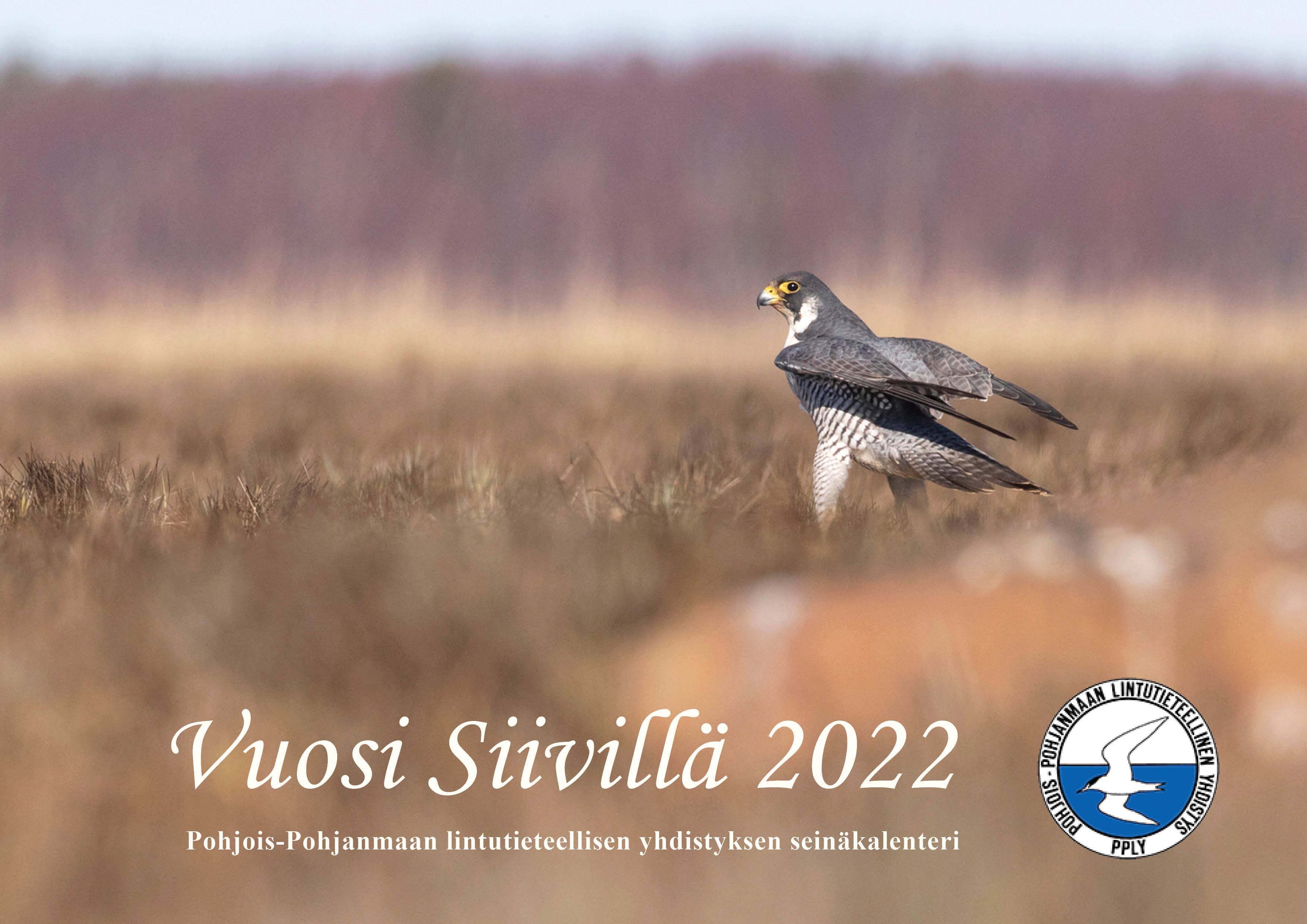 PPLY:n seinäkalenterin 2022 tilaus | Pohjois-Pohjanmaan lintutieteellinen  yhdistys ry - PPLY